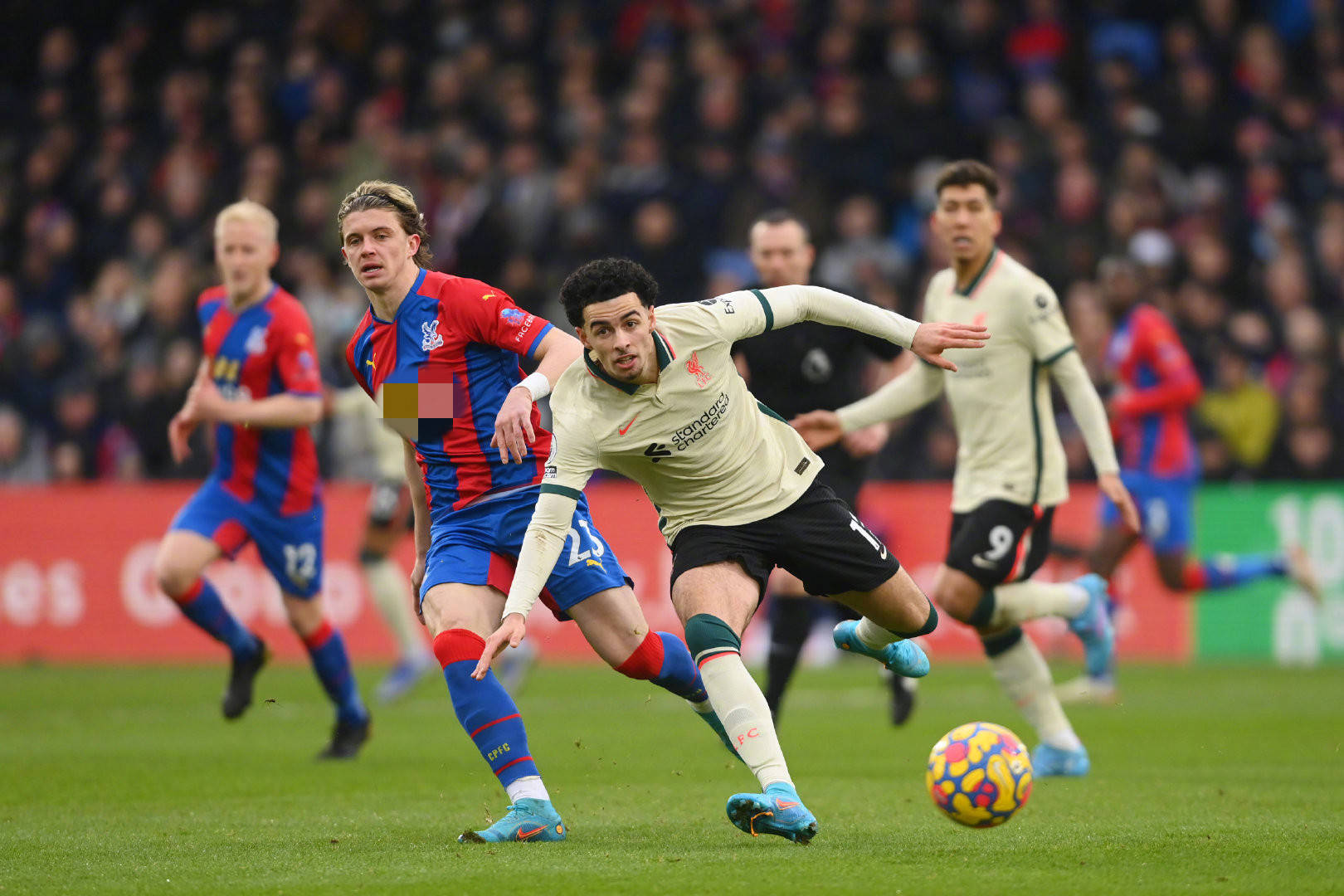 期努力的成 期努力的成